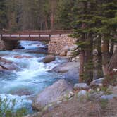 Review photo of Lodgepole Campground by Roger W., June 6, 2024