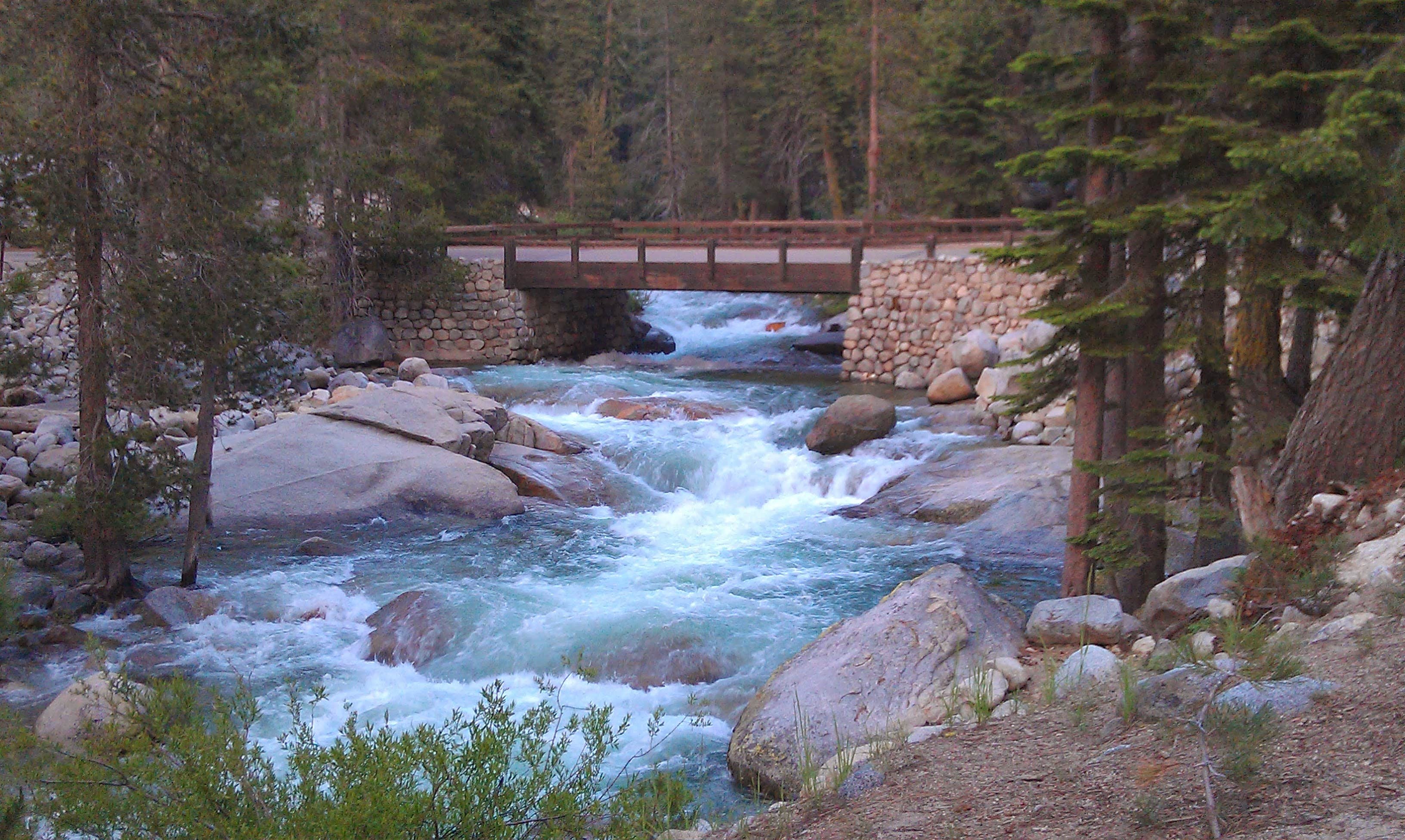 Camper submitted image from Lodgepole Campground - 4