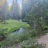Review photo of Lodgepole Campground by Grant M., June 17, 2026