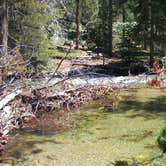 Review photo of Lodgepole Campground by Roger W., June 6, 2024