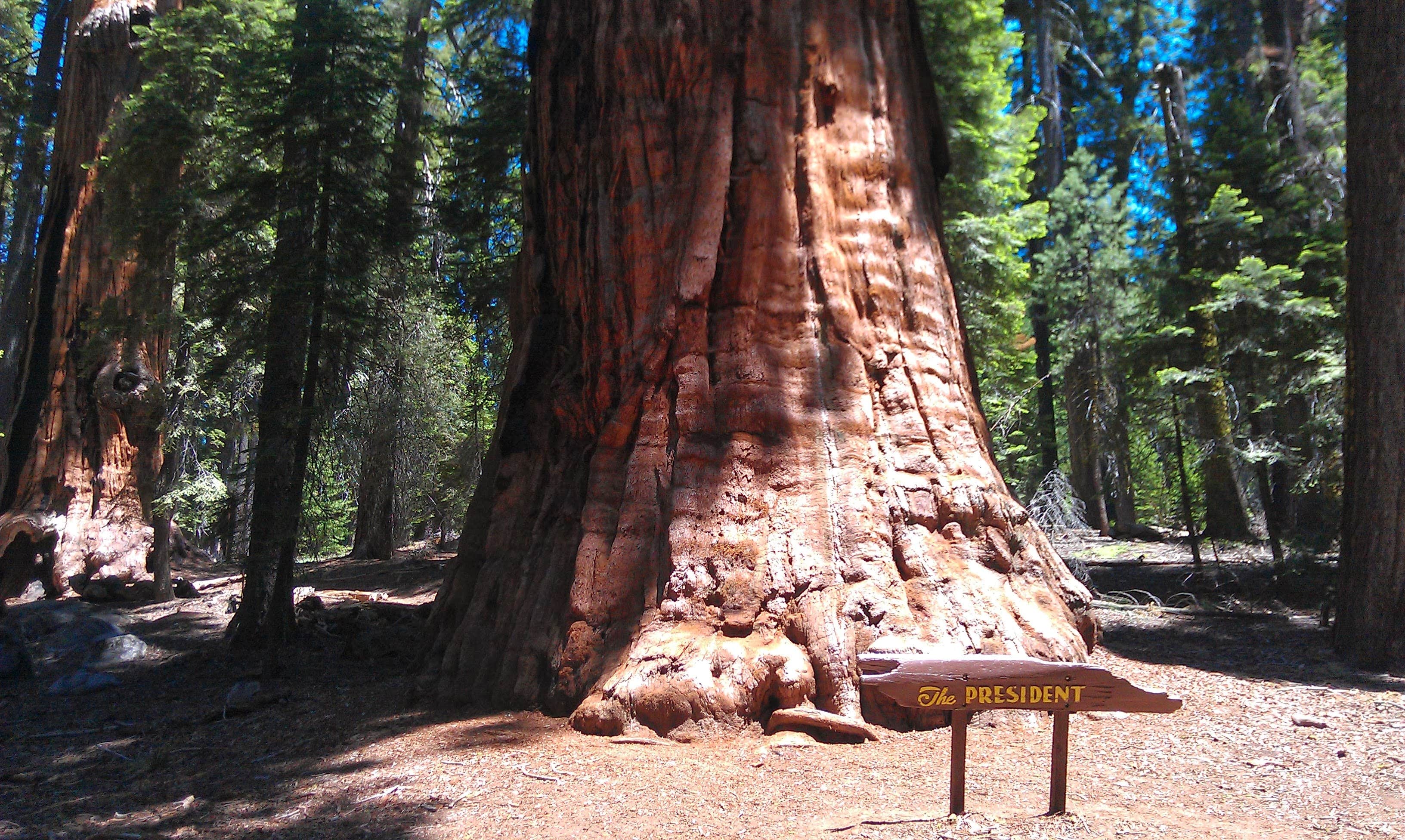 Camper-submitted photo at Lodgepole Campground near Colfax, CA