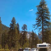 Review photo of Lodgepole Campground by Roger W., June 6, 2024