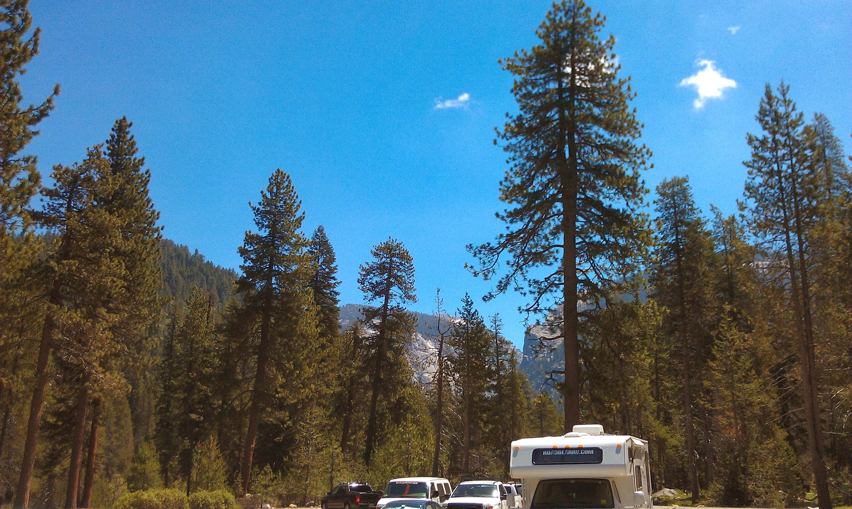 Camper submitted image from Lodgepole Campground - 1