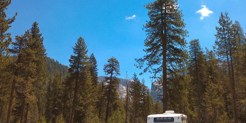 Camper submitted image from Lodgepole Campground