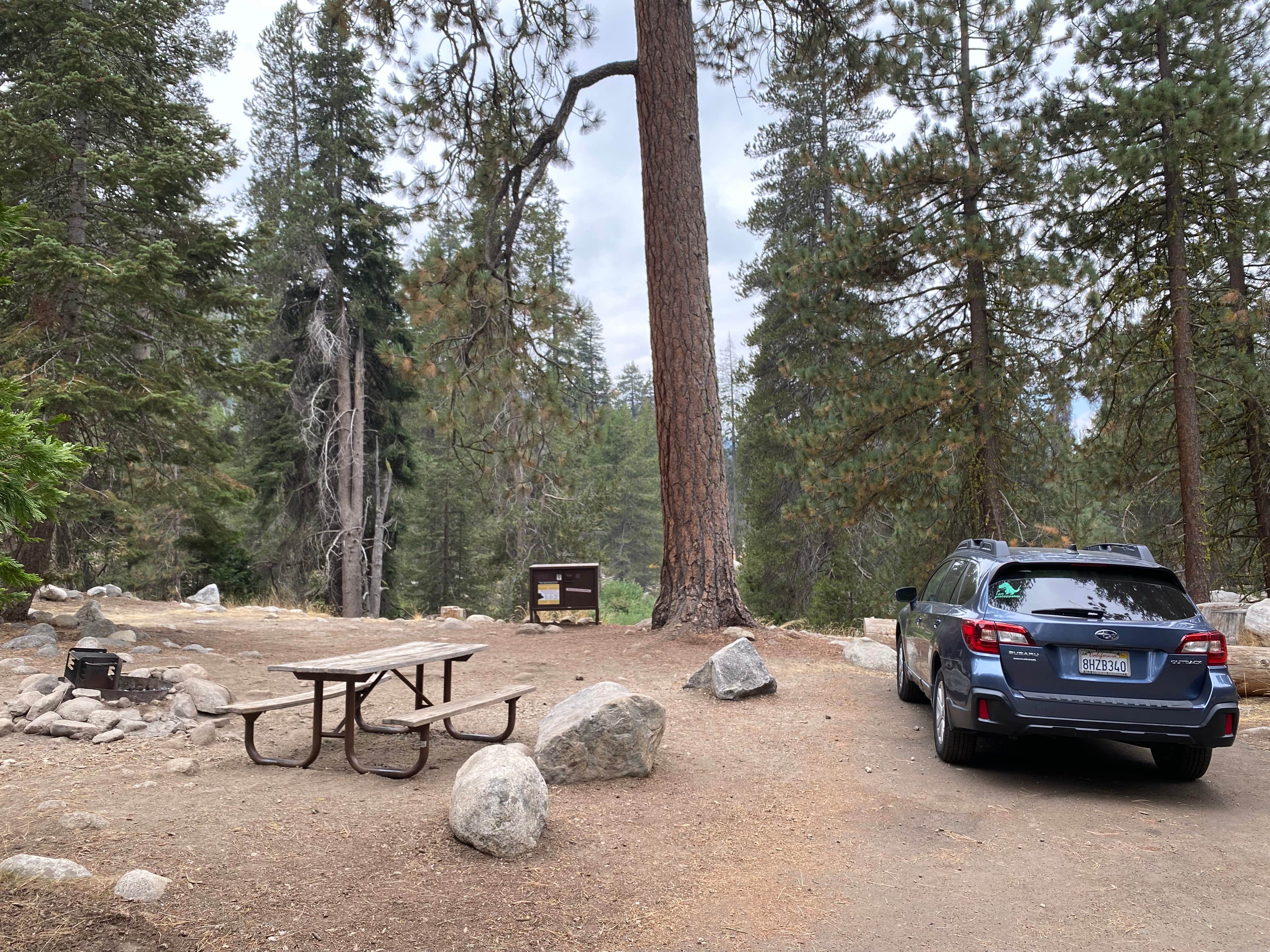 Camper submitted image from Lodgepole Campground - 5