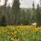 Review photo of Lodgepole Campground by Taylor A., September 7, 2024