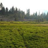 Review photo of Lodgepole Campground by Roger W., June 6, 2024