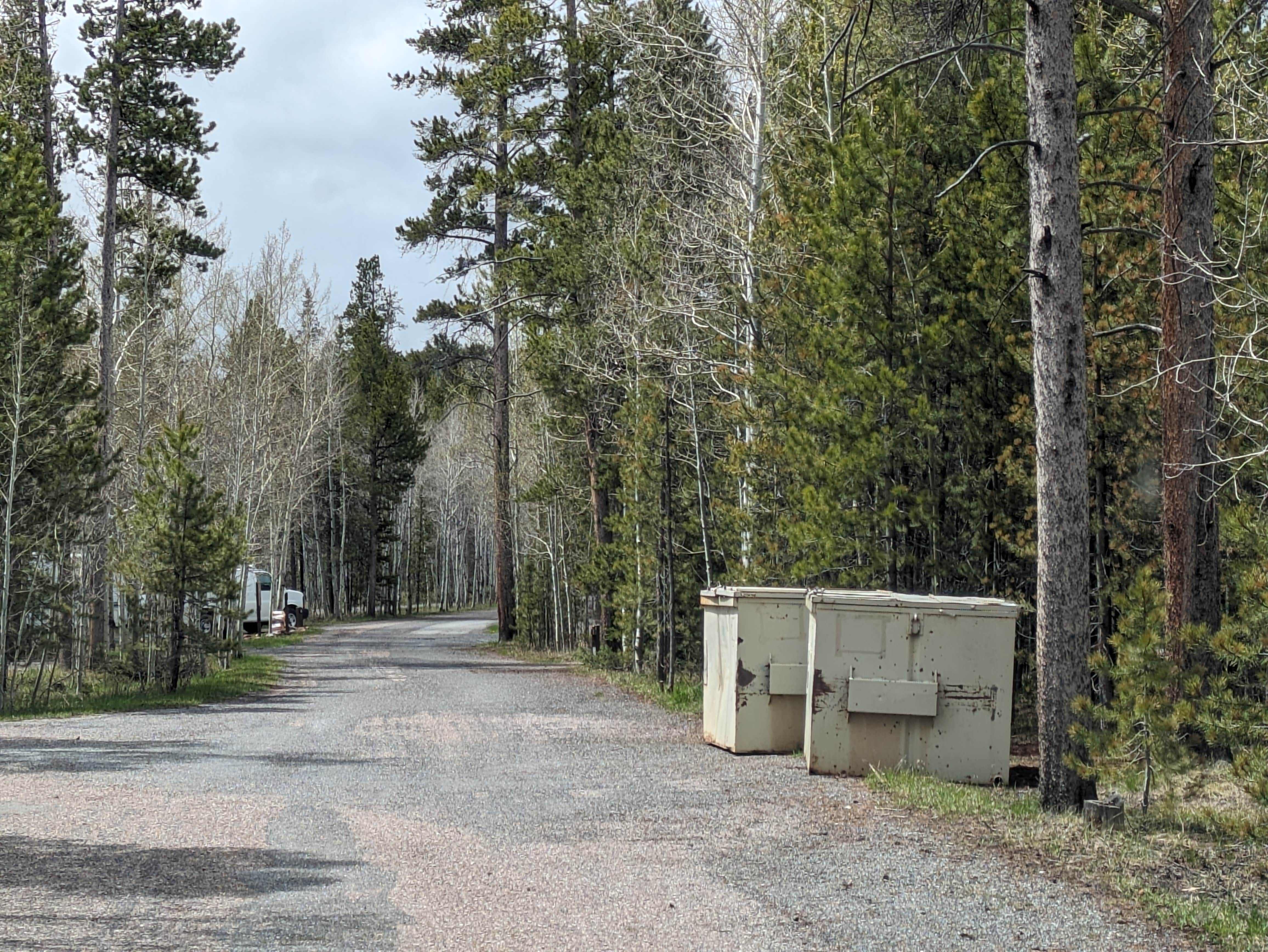 Camper submitted image from Lodgepole At Flaming Gorge — Ashley National Forest - 4