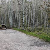 Review photo of Lodgepole At Flaming Gorge — Ashley National Forest by Greg L., May 26, 2024