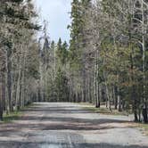 Review photo of Lodgepole At Flaming Gorge — Ashley National Forest by Greg L., May 26, 2024