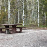 Review photo of Lodgepole At Flaming Gorge — Ashley National Forest by Greg L., May 26, 2024