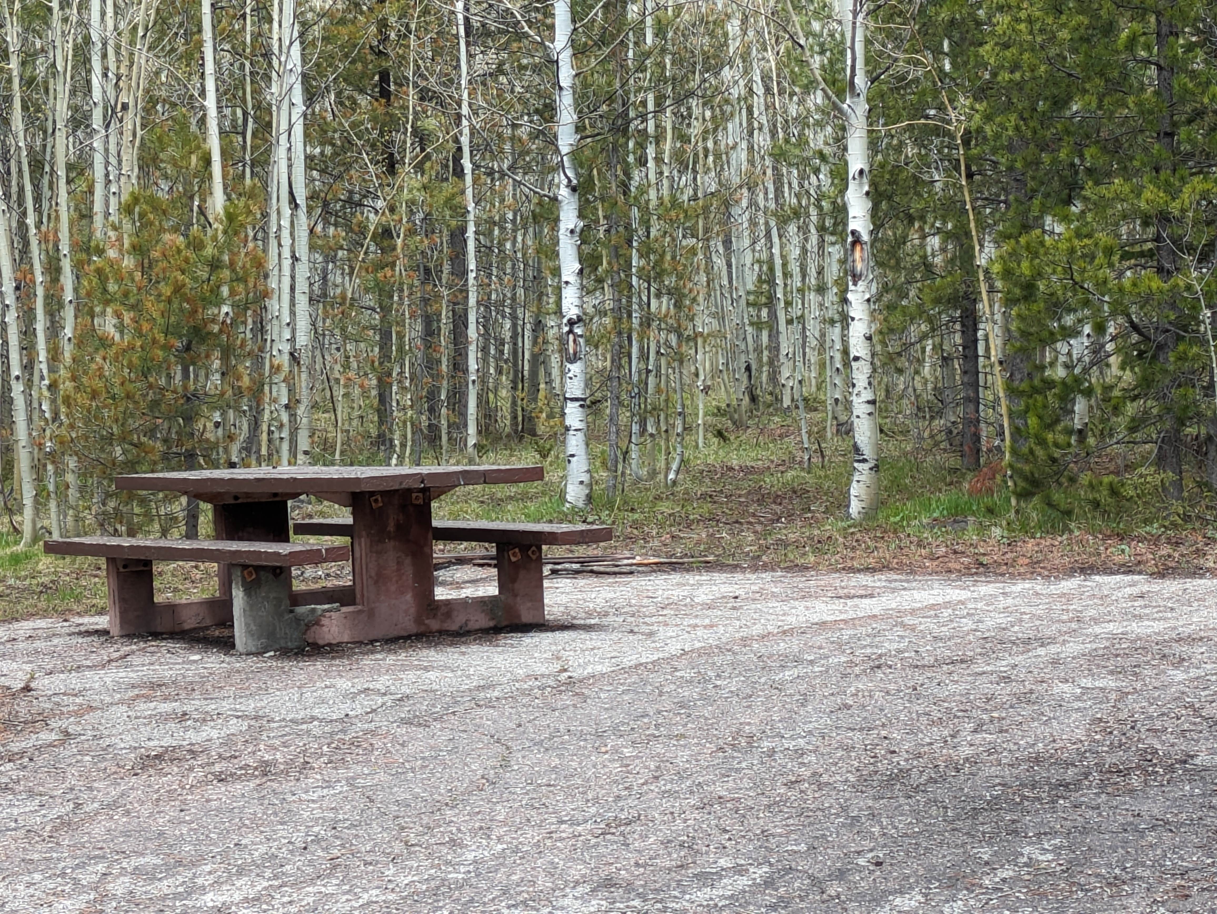 Camper submitted image from Lodgepole At Flaming Gorge — Ashley National Forest - 2