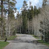 Review photo of Lodgepole At Flaming Gorge — Ashley National Forest by Greg L., May 26, 2024