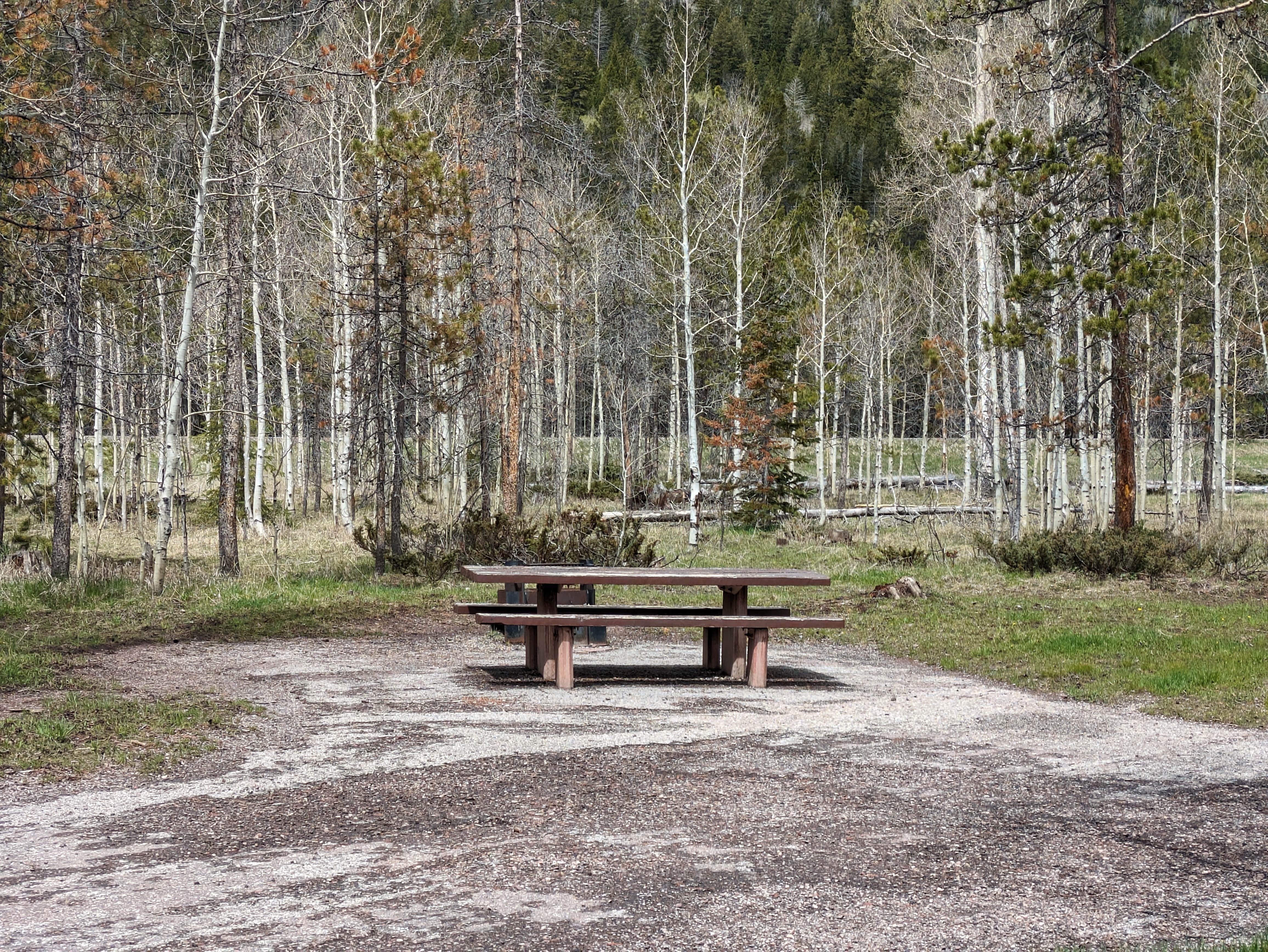 Camper submitted image from Lodgepole At Flaming Gorge — Ashley National Forest - 2