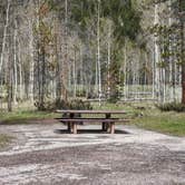 Review photo of Lodgepole At Flaming Gorge — Ashley National Forest by Greg L., May 26, 2024