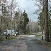 Review photo of Lodgepole At Flaming Gorge — Ashley National Forest by Greg L., May 26, 2024