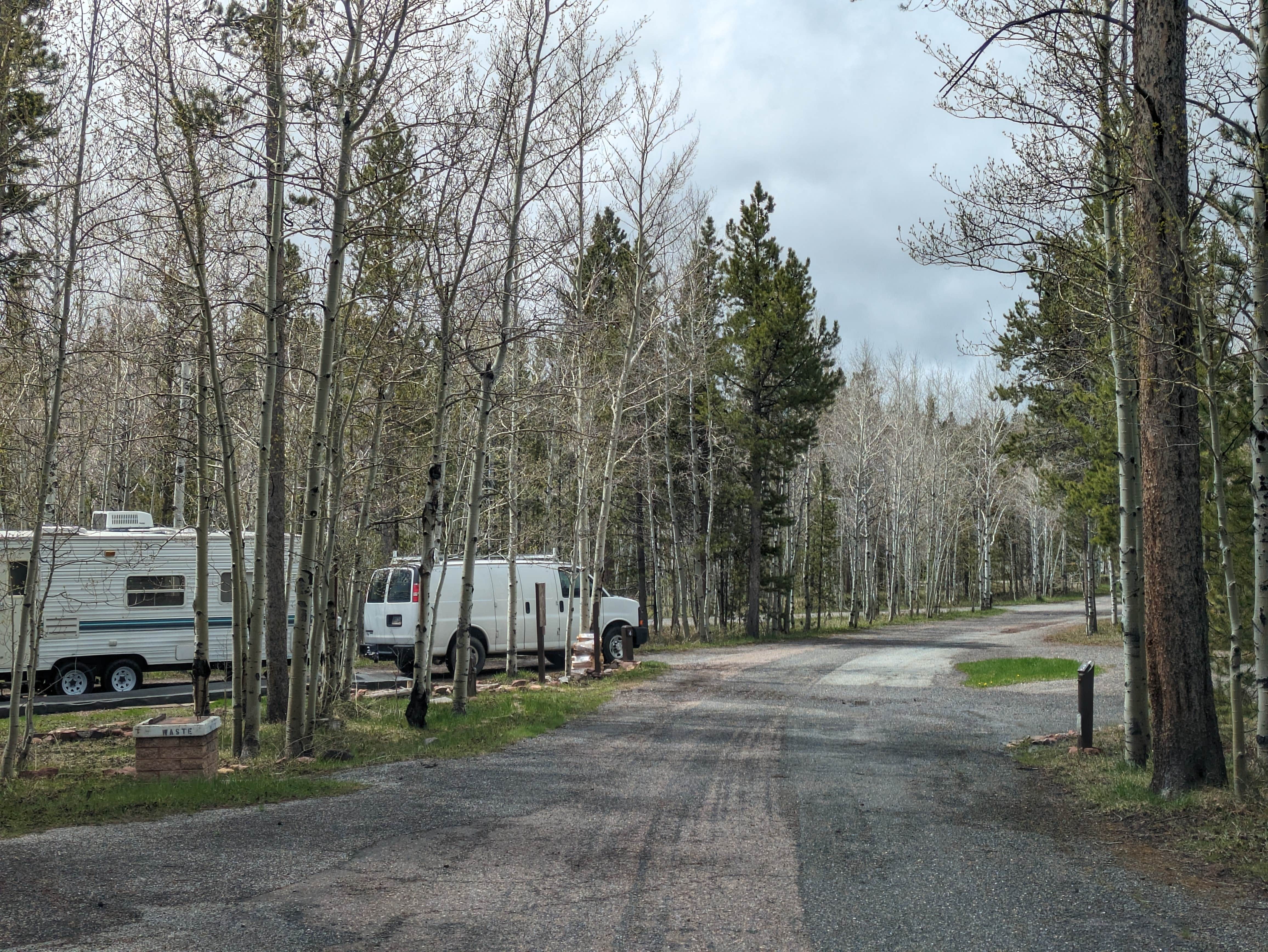 Camper submitted image from Lodgepole At Flaming Gorge — Ashley National Forest - 1