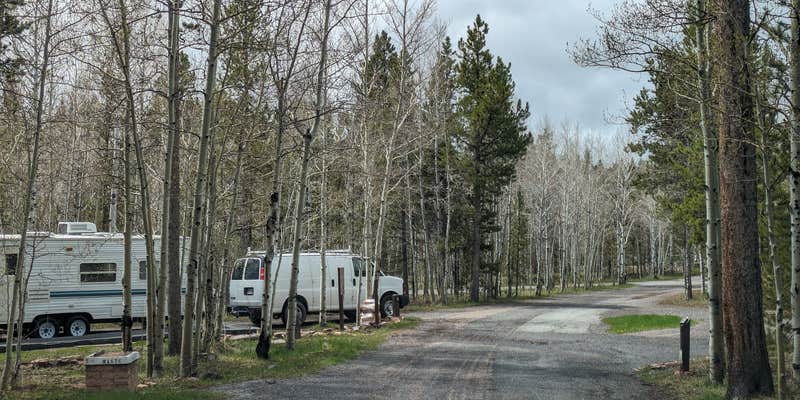 Camper submitted image from Lodgepole At Flaming Gorge — Ashley National Forest