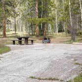 Review photo of Lodgepole At Flaming Gorge — Ashley National Forest by Greg L., May 26, 2024