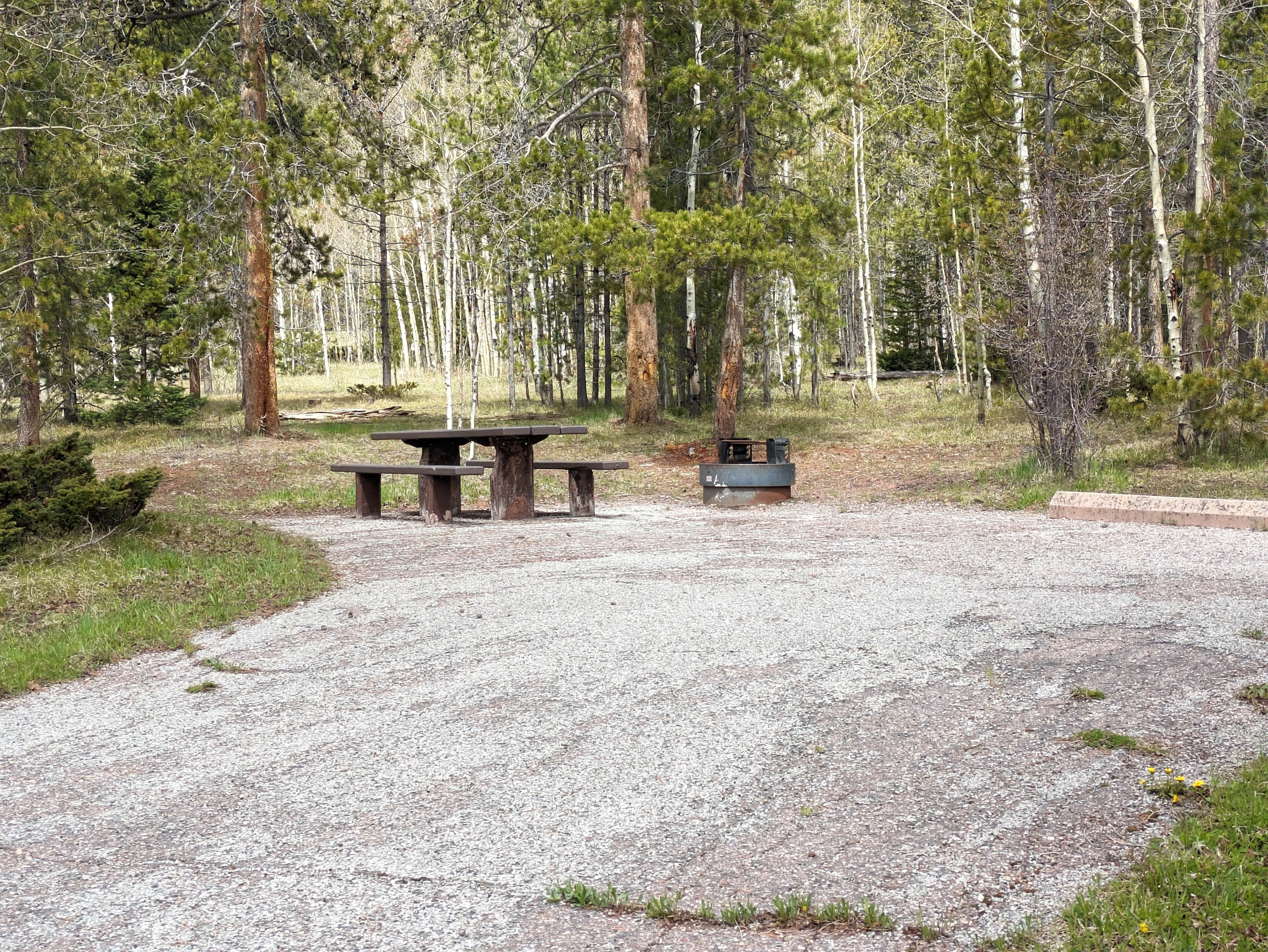 Camper submitted image from Lodgepole At Flaming Gorge — Ashley National Forest - 3