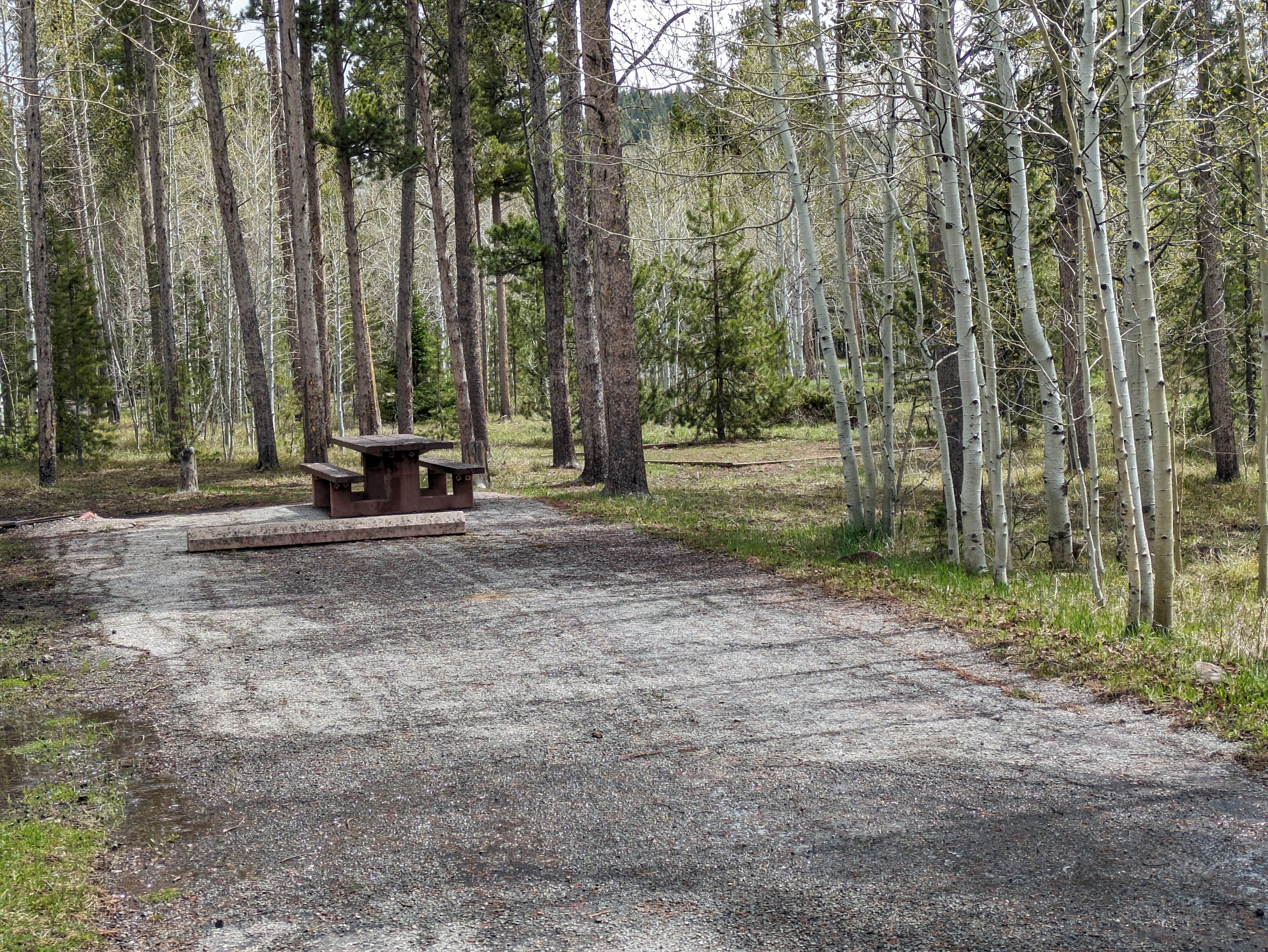 Camper submitted image from Lodgepole At Flaming Gorge — Ashley National Forest - 5