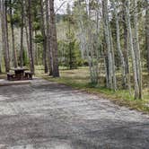 Review photo of Lodgepole At Flaming Gorge — Ashley National Forest by Greg L., May 26, 2024