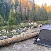 Review photo of Lodgepole Campground — Sequoia National Park by Andre V., May 30, 2024