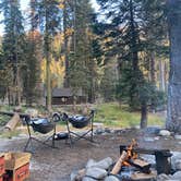 Review photo of Lodgepole Campground — Sequoia National Park by Andre V., May 30, 2024