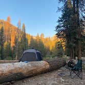 Review photo of Lodgepole Campground — Sequoia National Park by Andre V., May 30, 2024