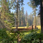 Review photo of Lodgepole Campground — Sequoia National Park by Andre V., May 30, 2024