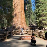 Review photo of Lodgepole Campground — Sequoia National Park by Andre V., May 30, 2024