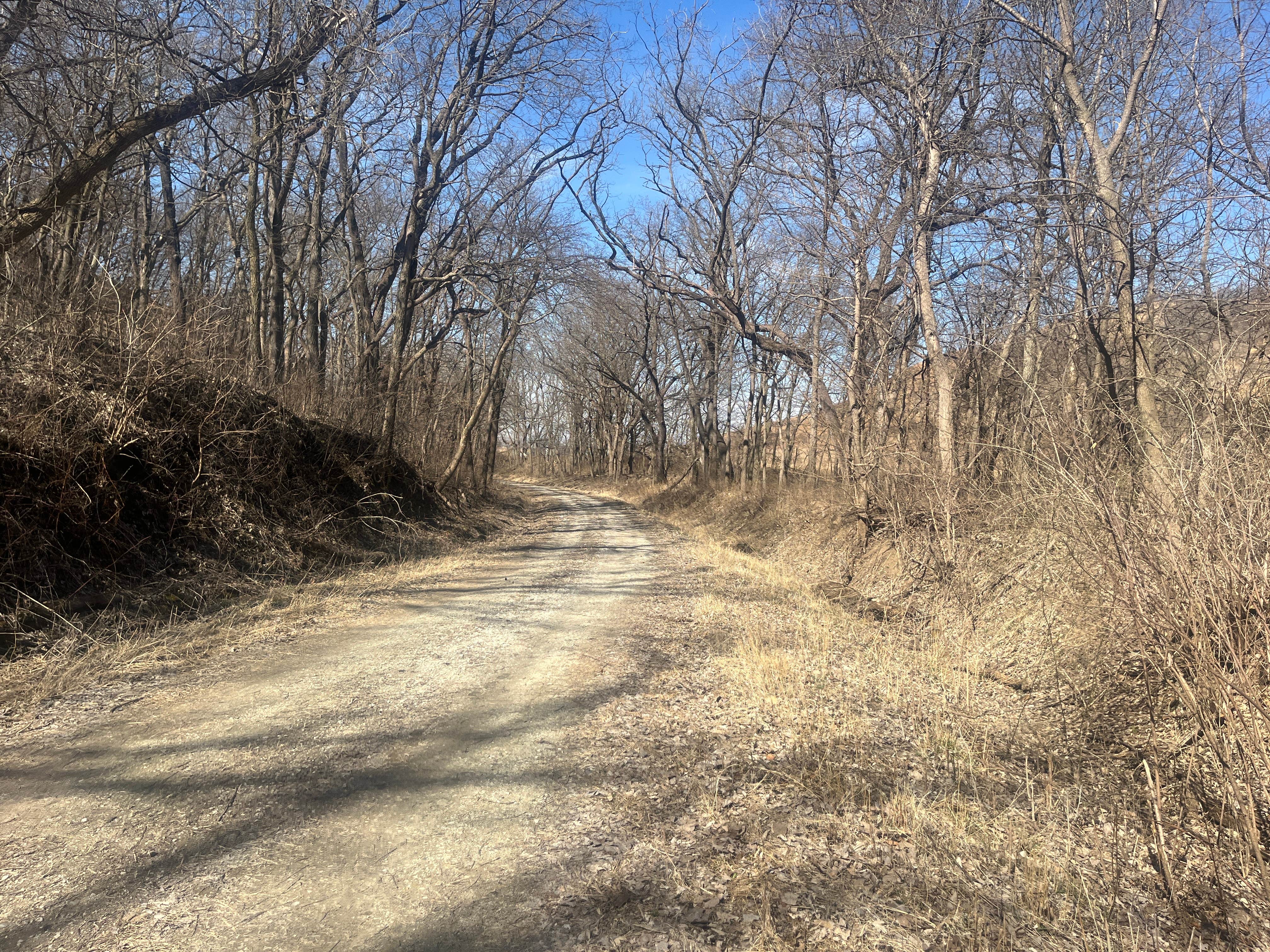 Camper-submitted photo at loess hills state forest near Moorhead, IA