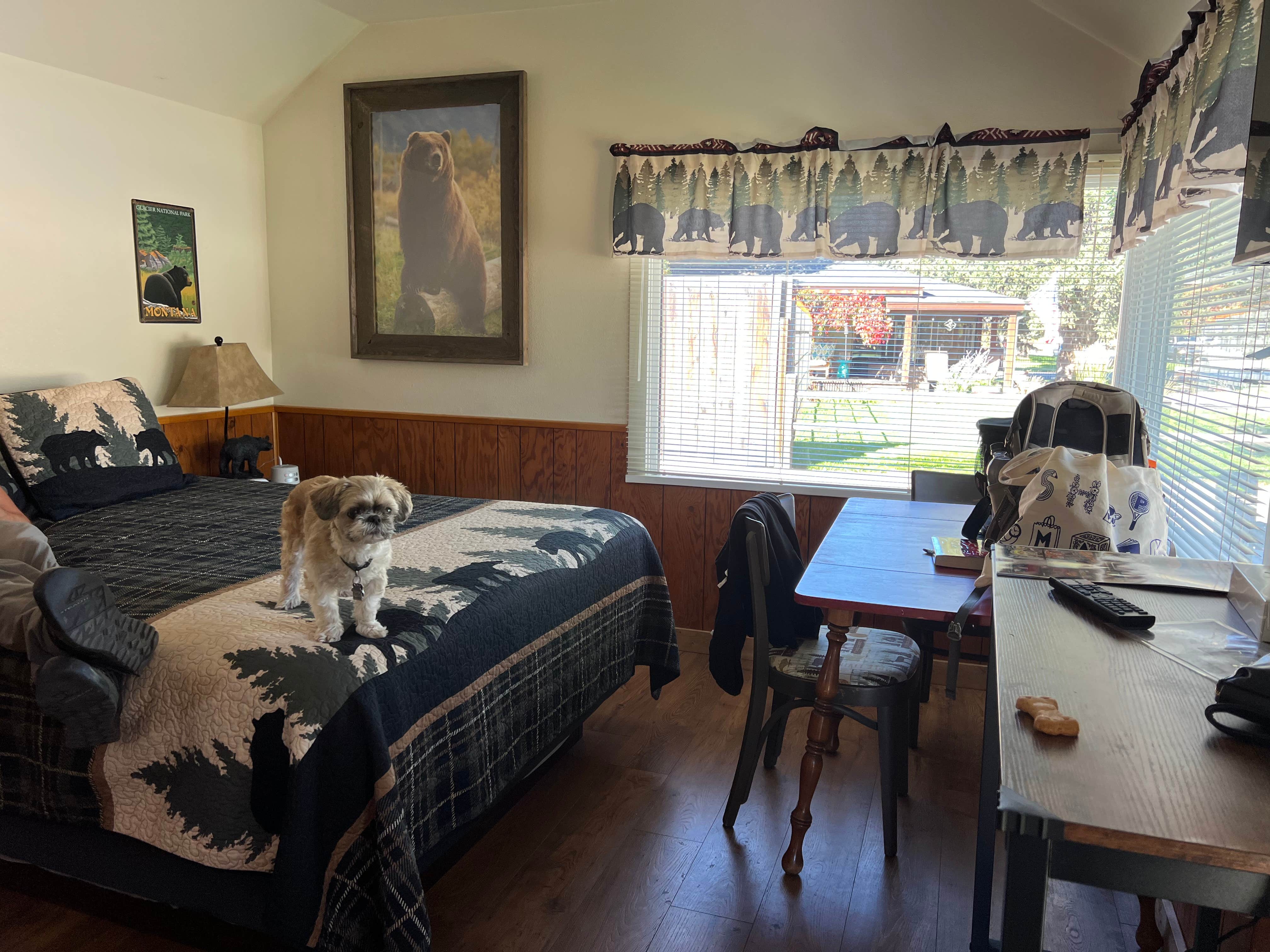 Meghan B.'s photo of camping with pets at Travellers Rest Cabins & RV Park near Darby, MT