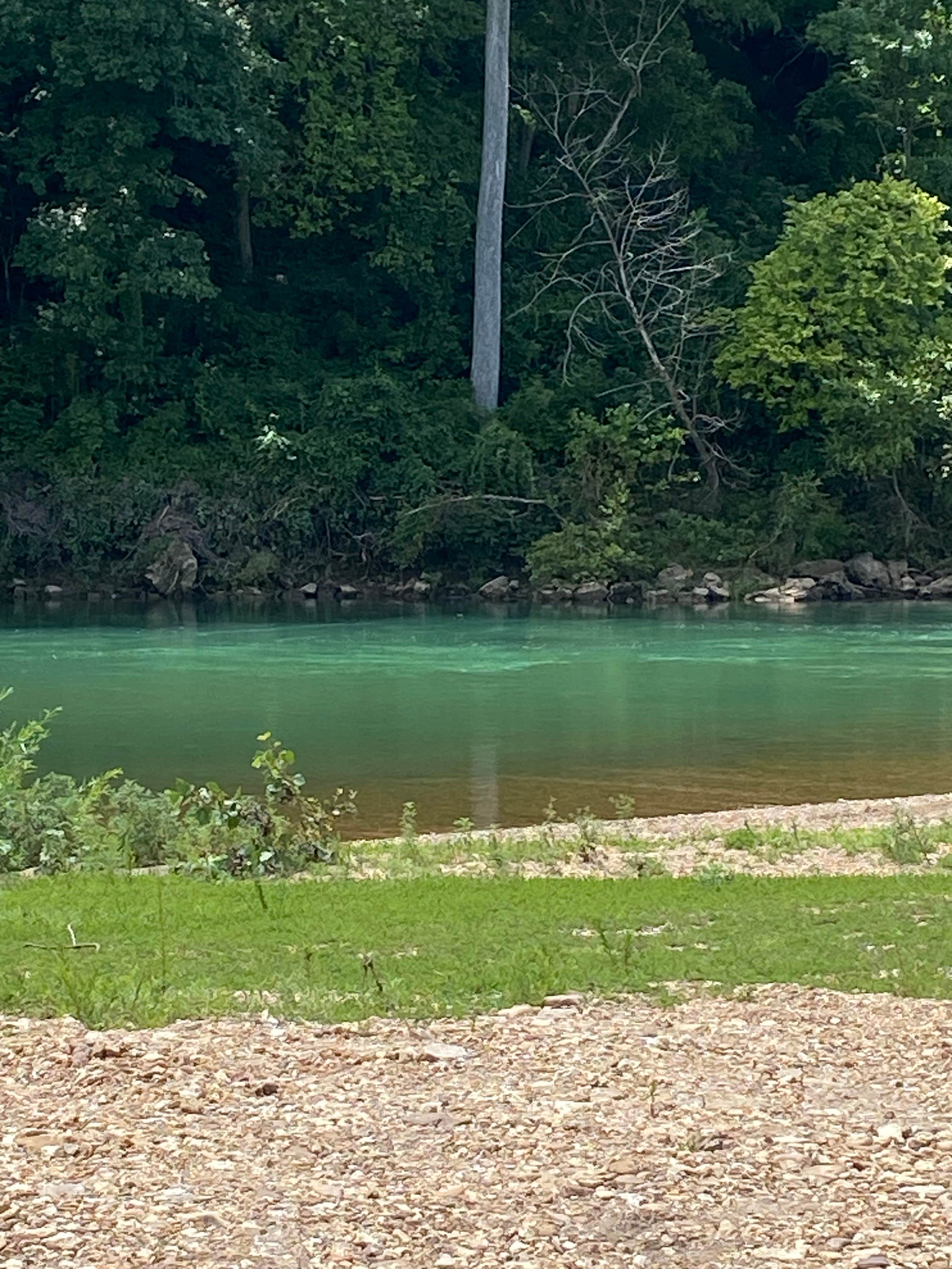 Vikki B.'s photo of a dispersed camping area at Log Yard Campground Backcountry Camping — Ozark National Scenic Riverway near Van Buren, MO