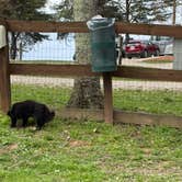 Review photo of Hocking Hills KOA Holiday by Joe S., April 10, 2026