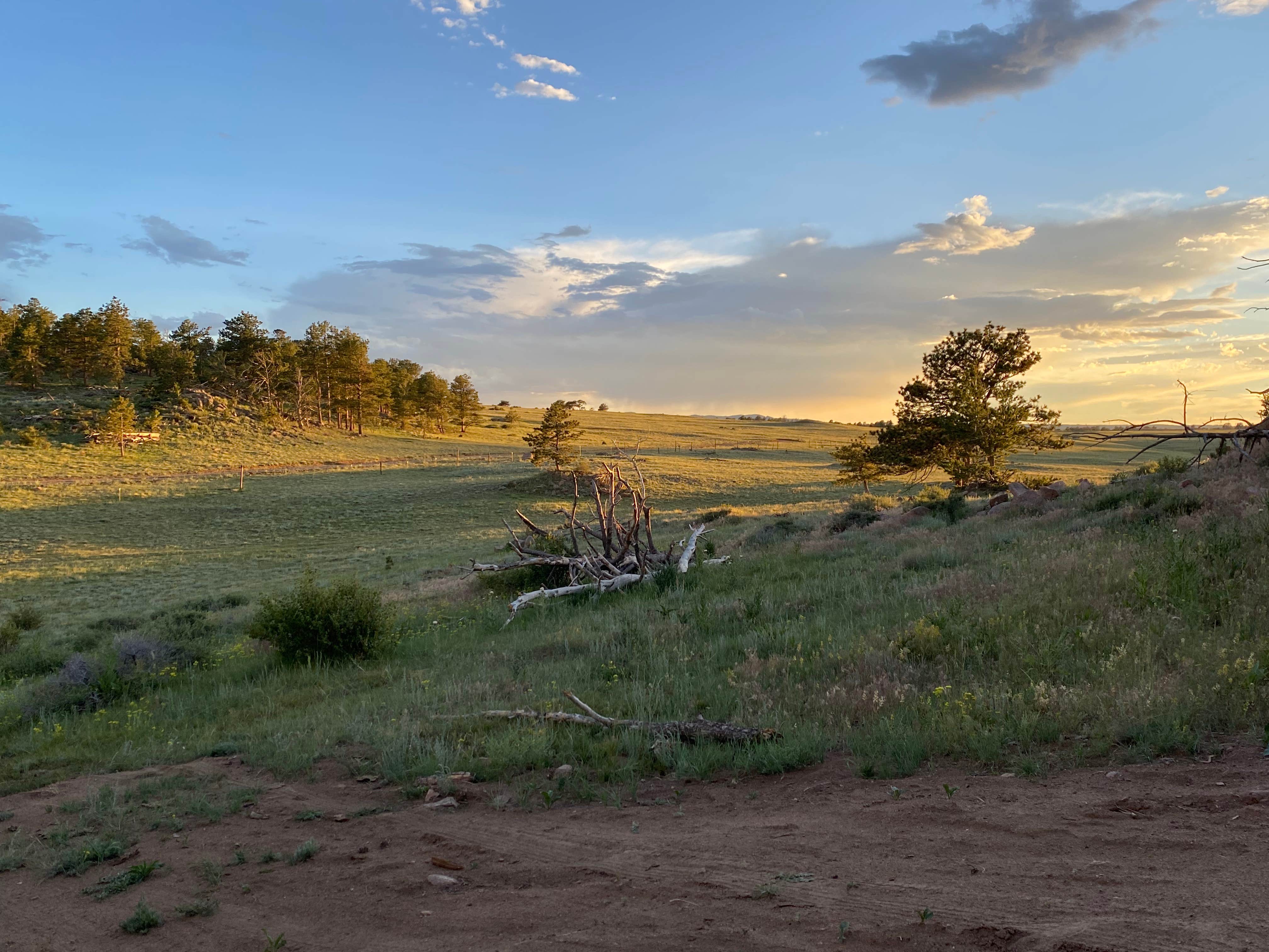 Camper submitted image from Logan Ranch Campground - 3