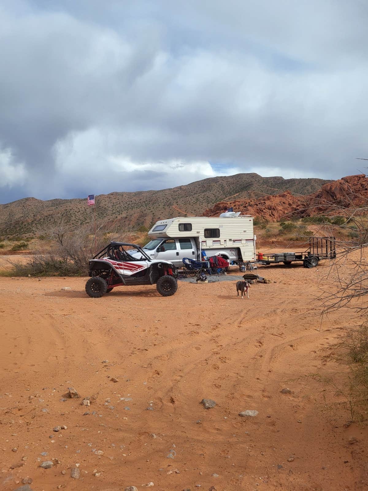 Sheri C.'s photo of camping with pets at Logandale Trails near Mesquite, NV