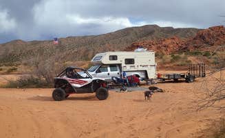 Sheri C.'s photo of camping with pets at Logandale Trails near Overton, NV