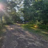 Review photo of Old Logging Trail — St. Croix State Park by The Rolling Panda  .., July 17, 2025
