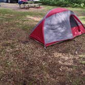 Review photo of Old Logging Trail — St. Croix State Park by The Rolling Panda  .., July 17, 2025