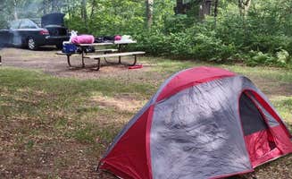 The Rolling Panda ..'s photo at Old Logging Trail — St. Croix State Park in Minnesota