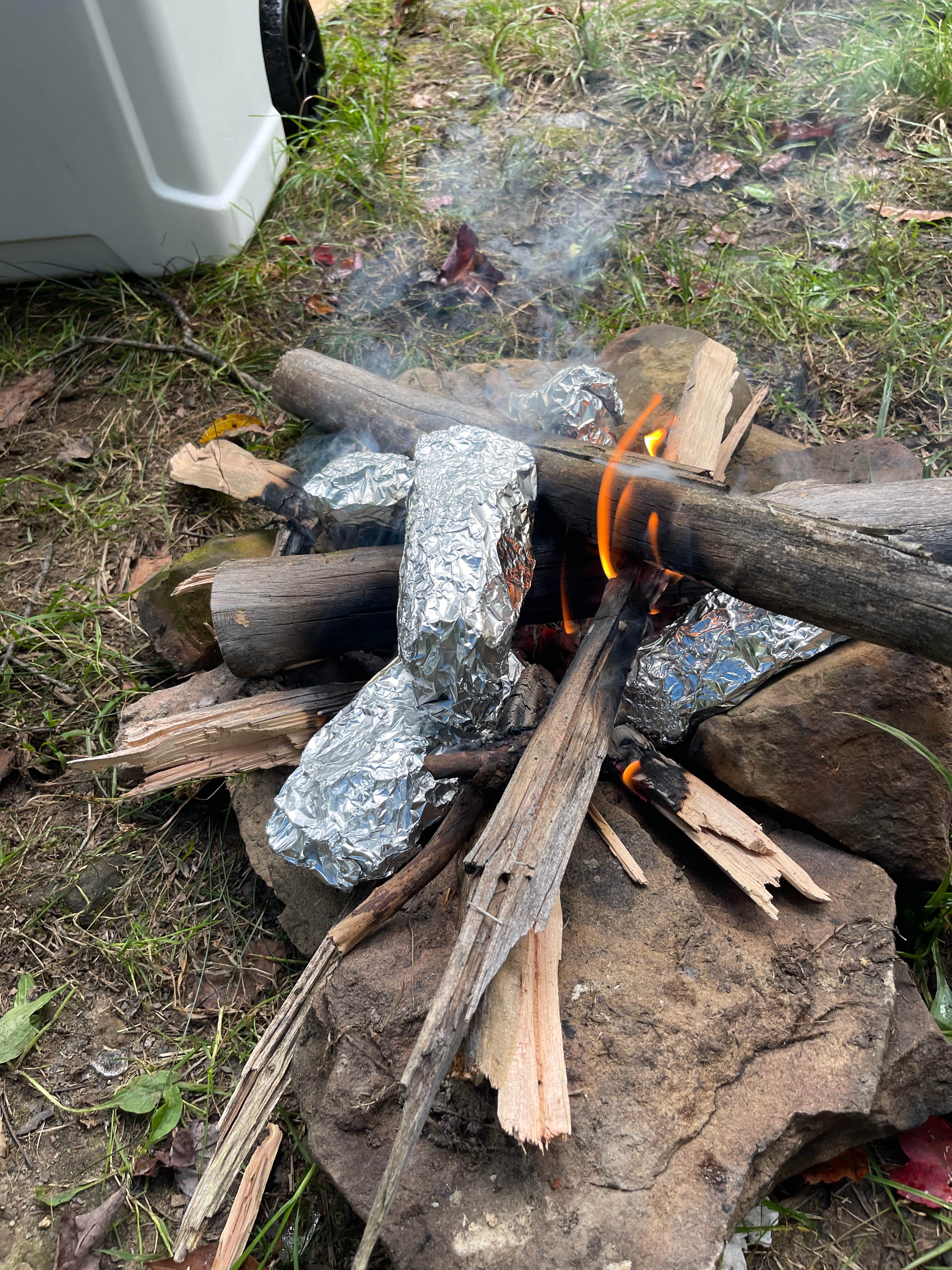 Camper submitted image from Loleta Road Dispersed Campsite - 1