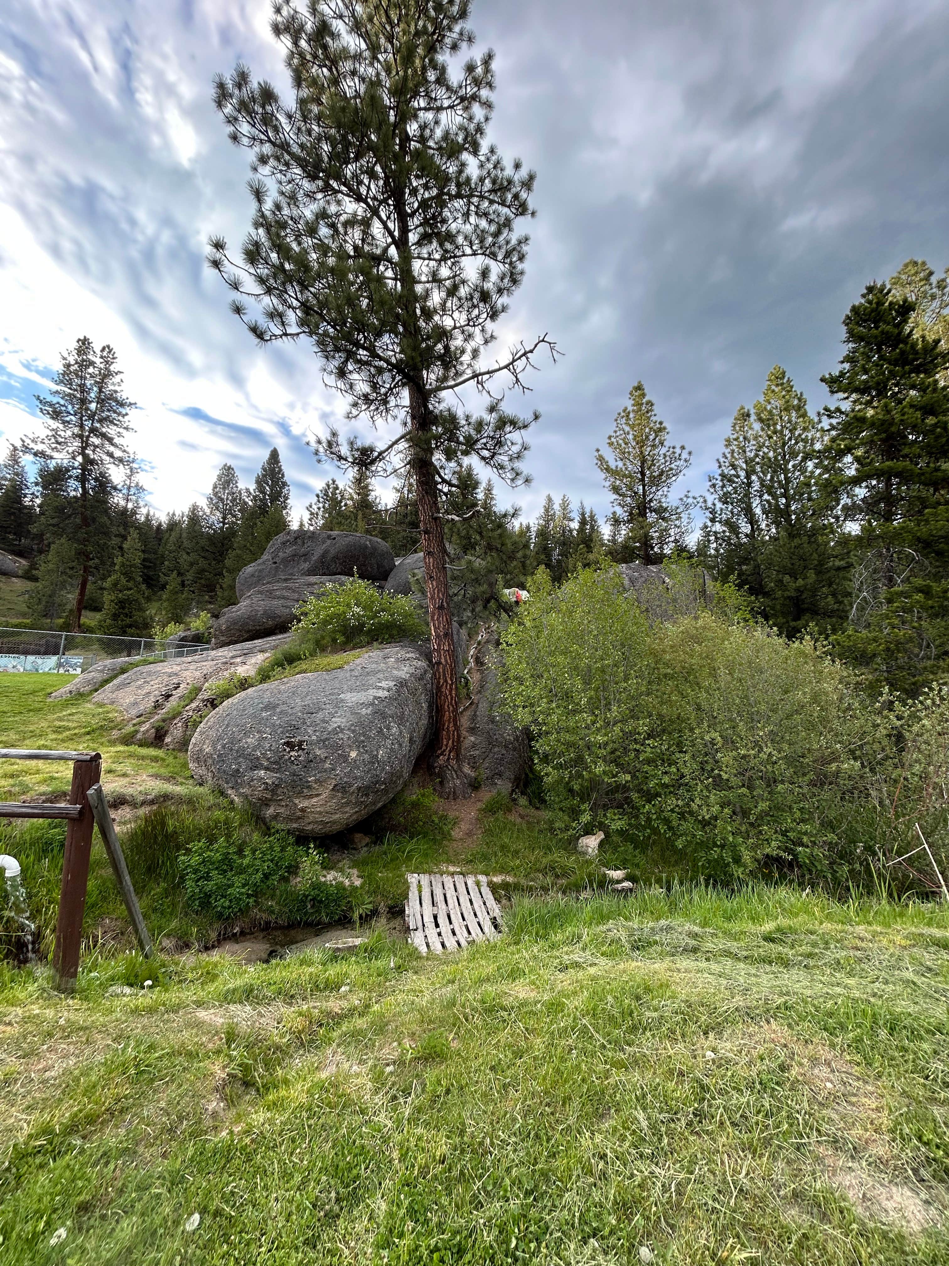 Camping near Lolo Creek Campground: Lolo Hot Springs Campground, Alberton, Montana