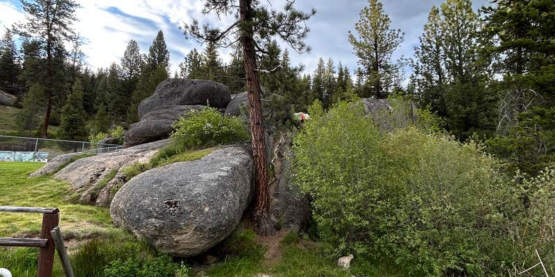 Camper submitted image from Lolo Hot Springs Campground