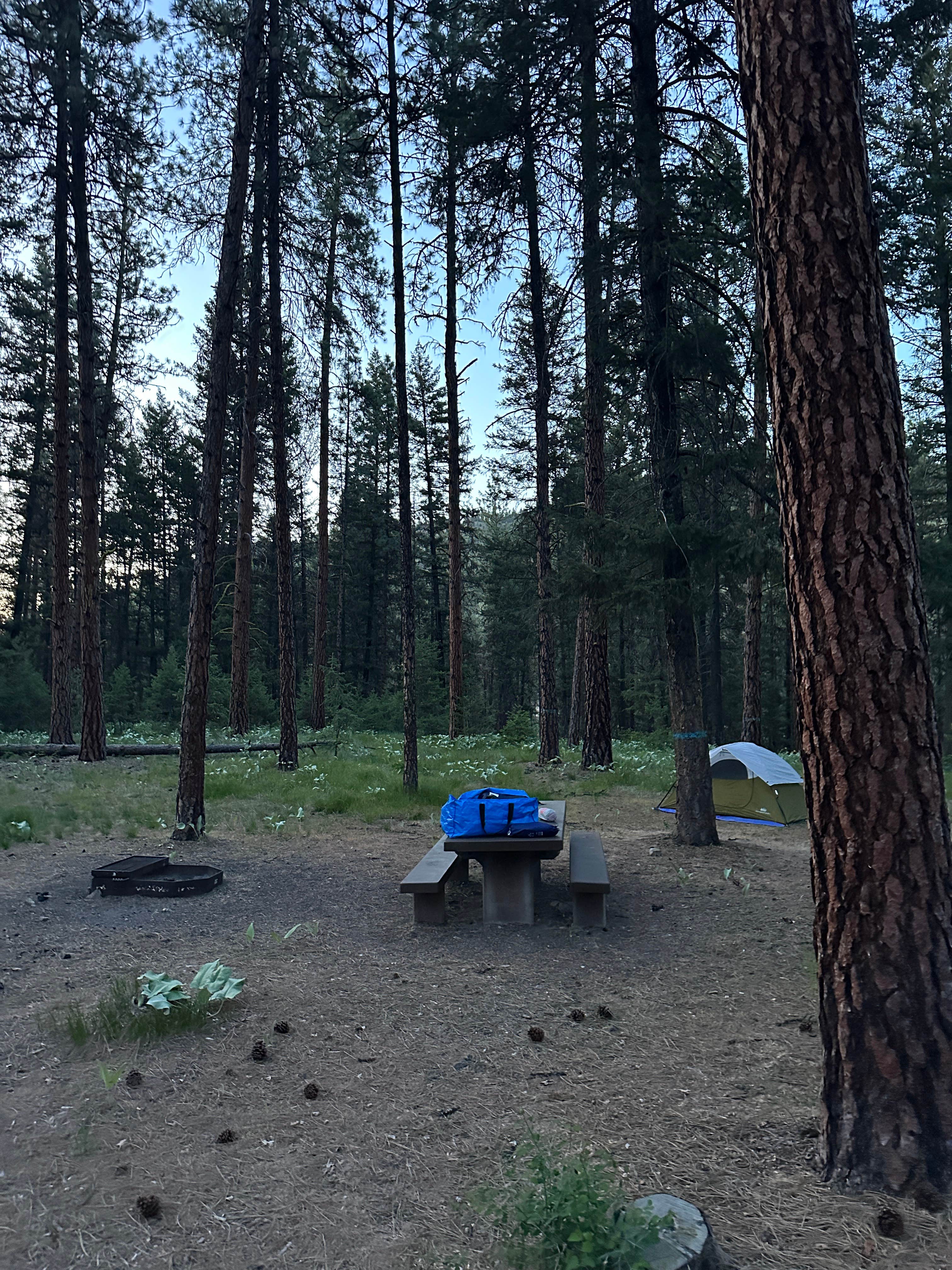 smelly E.'s photo at Quartz Flats Campground near Frenchtown, MT