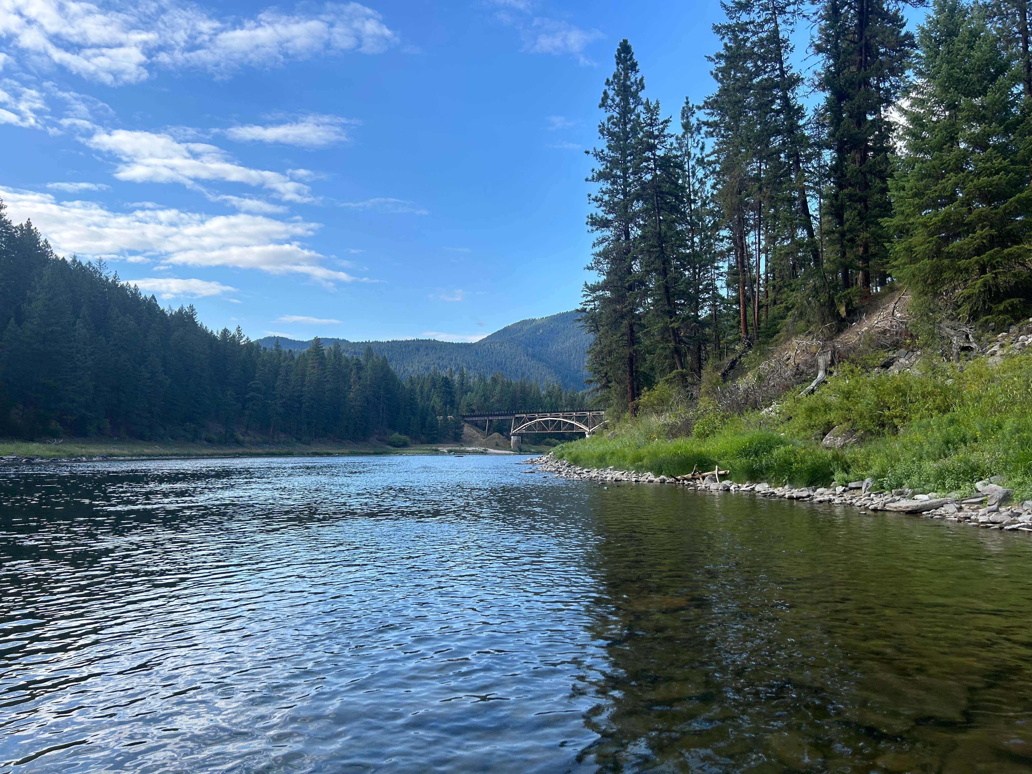 Camper-submitted photo at Dispersed Site - Lolo National Forest Recreation Area near Big Arm, MT