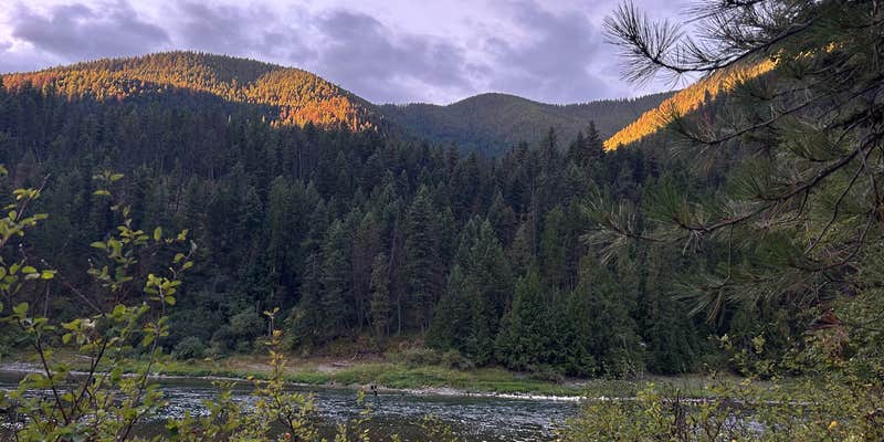 Camper submitted image from Dispersed Site - Lolo National Forest Recreation Area