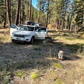 Review photo of Dispersed Site - Lolo National Forest Recreation Area by Tracen P., October 12, 2023