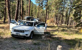 Tracen P.'s photo of camping with pets at Dispersed Site - Lolo National Forest Recreation Area near Thompson Falls, MT