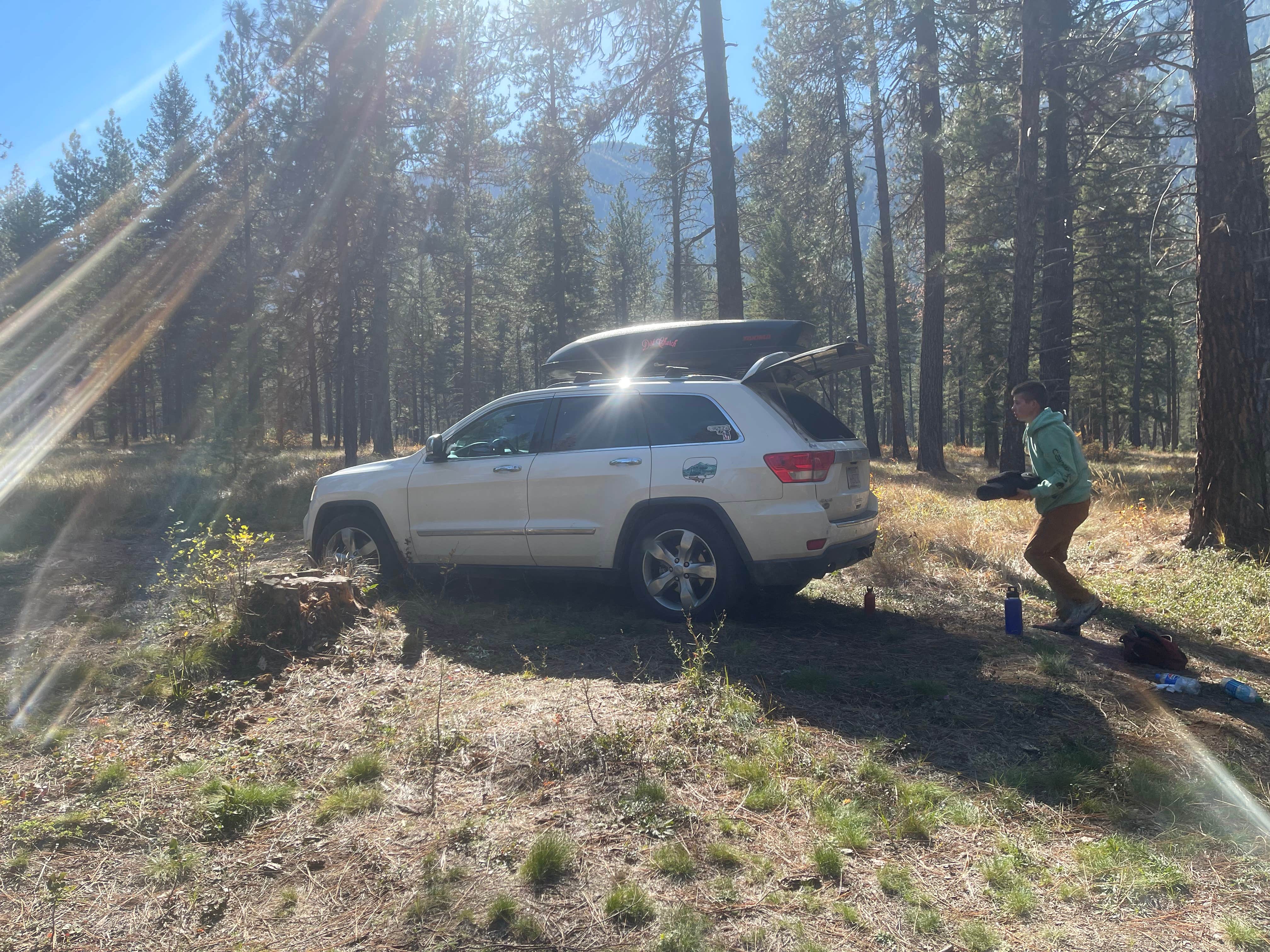 Camper submitted image from Dispersed Site - Lolo National Forest Recreation Area - 5